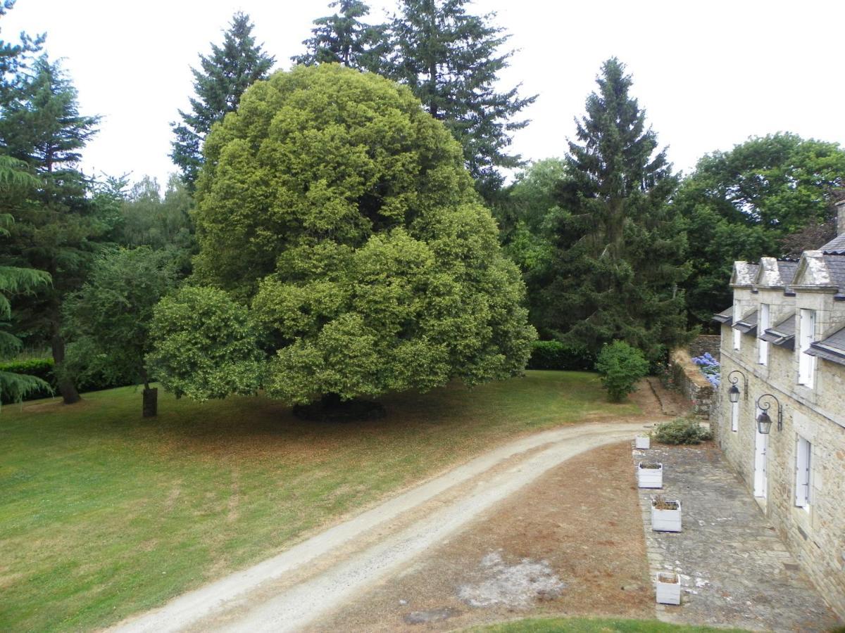 Bed and Breakfast Manoir De Saint-Fiacre Malansac Exterior foto